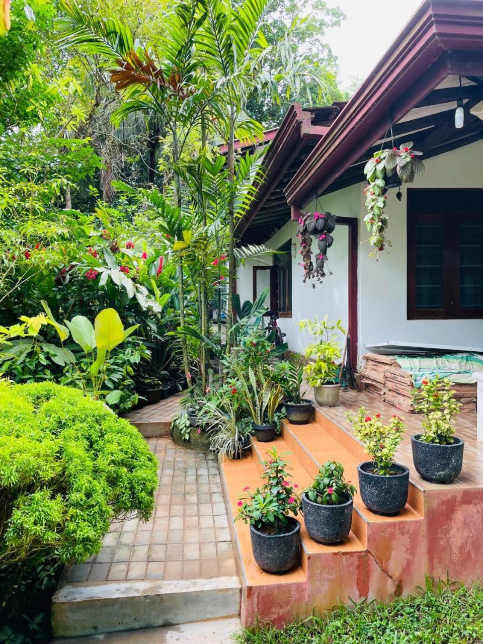 Chami'S Home Stay Mirissa Exterior foto